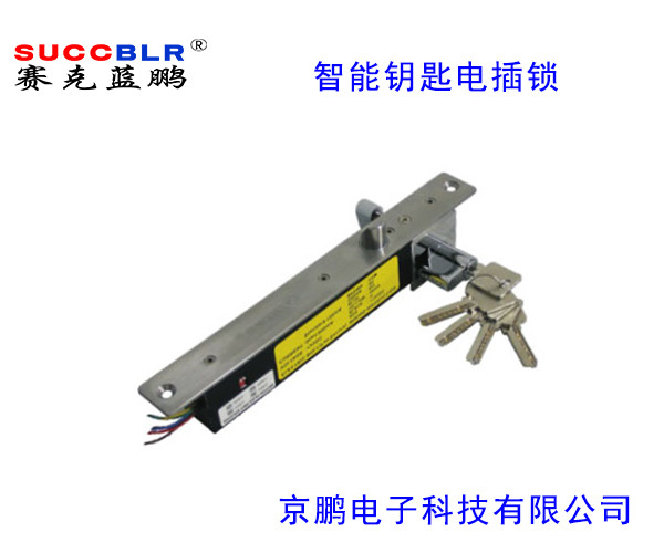 【智能（néng）鑰匙型電插鎖】賽克（kè）藍鵬SUCCBLR智能鑰匙型電插鎖SL-S203DW