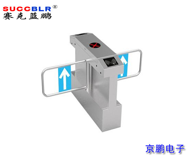 【橋式（shì）斜（xié）麵擺閘係統設備】賽克藍鵬SUCCBLR雙機芯橋式斜麵擺閘